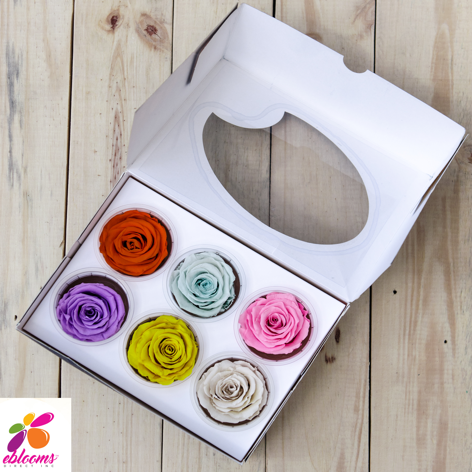 Preserved Flower Rose White - wholesale rose