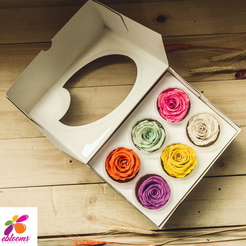 Preserved Flower Rose Cream - wholesale rose