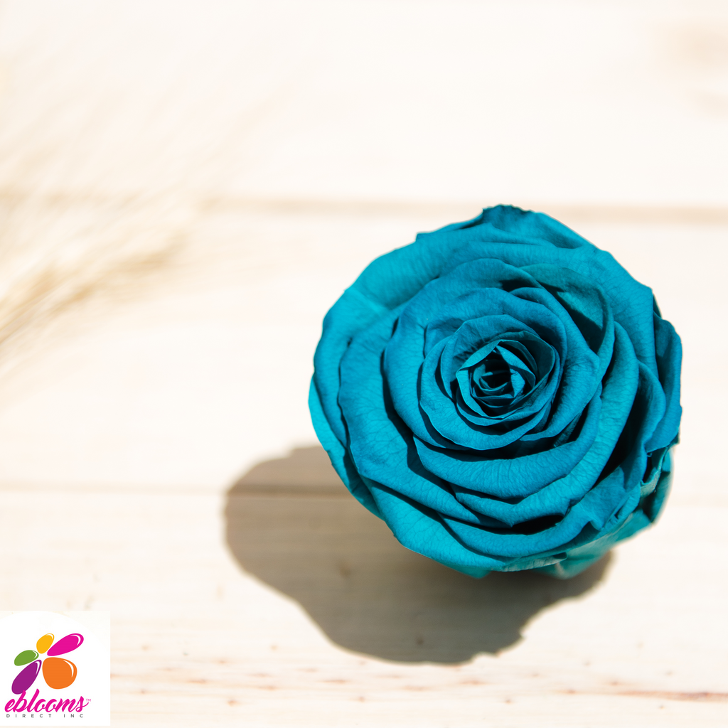 Preserved Flower Cyan blue - wholesale rose