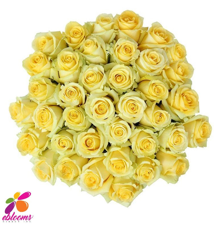 Skyline Yellow Rose Bunch - EbloomsDirect