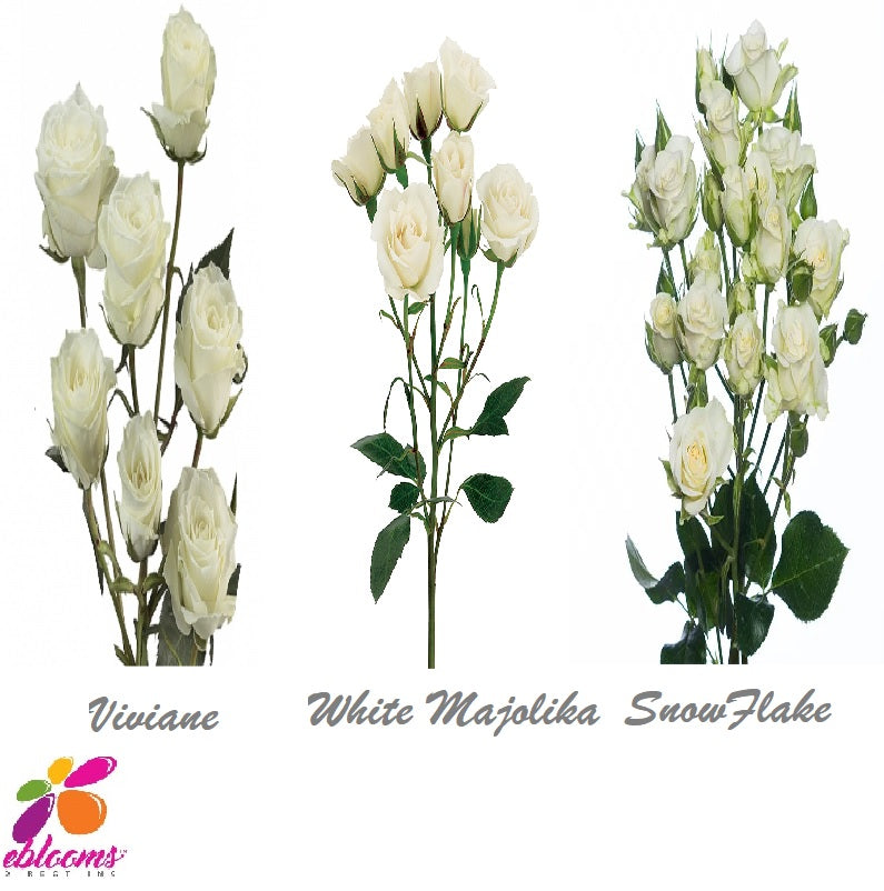 Spray Roses White Assorted