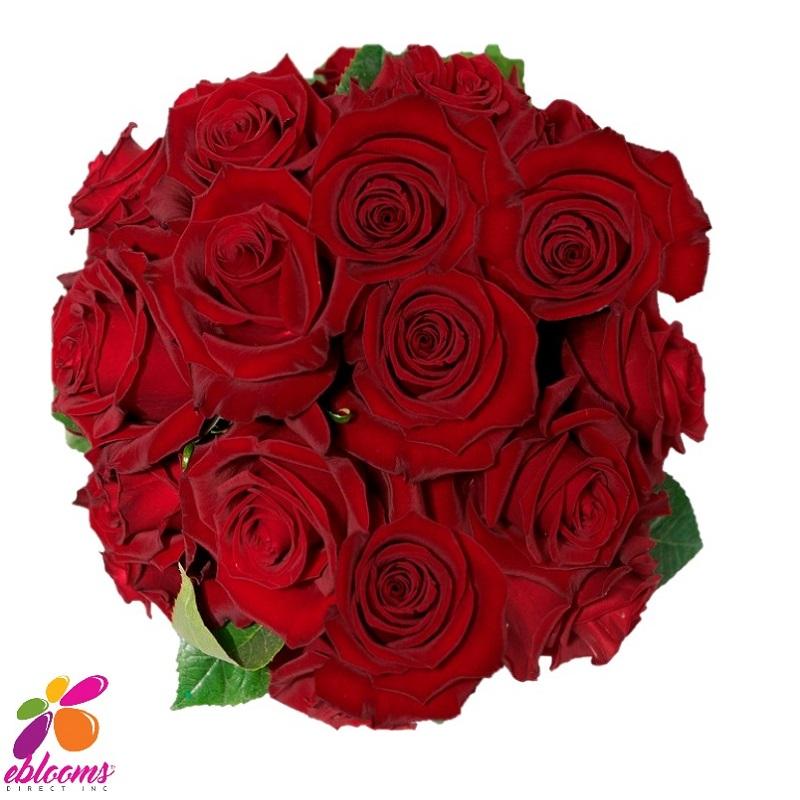 Tinto Red Roses Bunch Of Red Roses