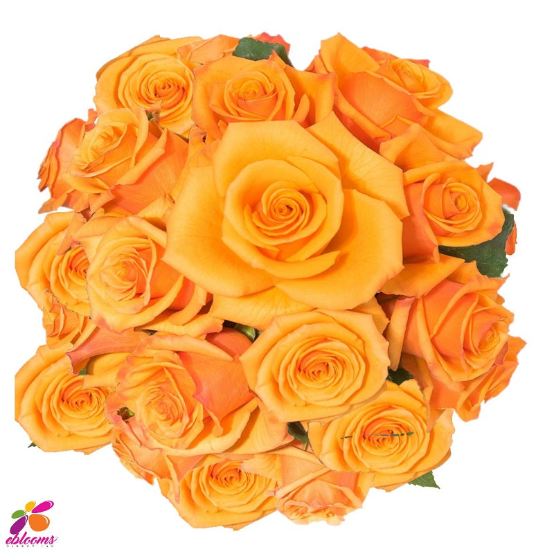Tycoon Rose Bunch - EbloomsDirect