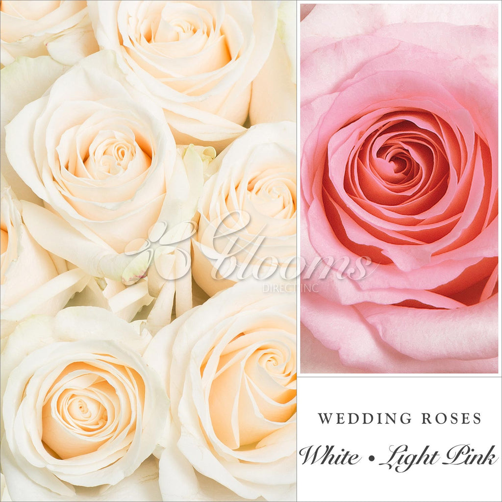 Pink & White Wedding Rose Combo the best flower arrangement centerpeices bouquets to order online for any ocassion weddings, or event planners  and valentine's day