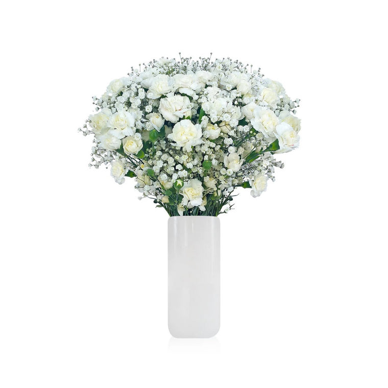 Mini Carnation & Baby breath White Bouquet Pack 6- EbloomsDirect