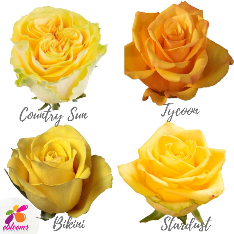 Yellow Roses Assorted