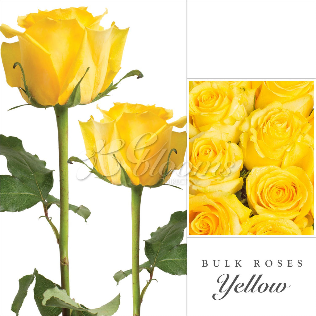 Yellow roses the best flower arrangement centerpieces bouquets to order online for any ocassion weddings, or event planners and valentine's day